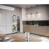 Lodówka do zabudowy LIEBHERR IRBPci 5170 Peak BioFresh